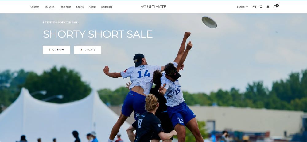 The Ultimate Guide to the Best Brand Frisbee Golf Discs-vcultimate